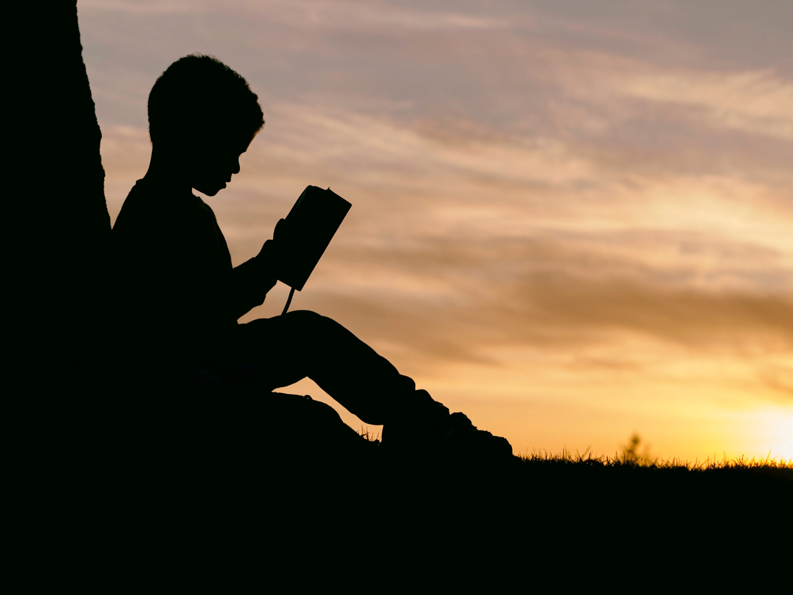 5 Novels That Will Transform Your Life: A Personal Journey