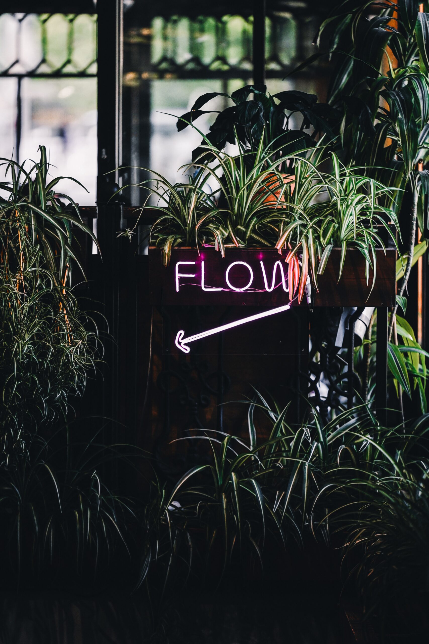 Cultivating Flow: How to Achieve Optimal Experience in Your Life